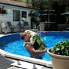 dating in Saint John